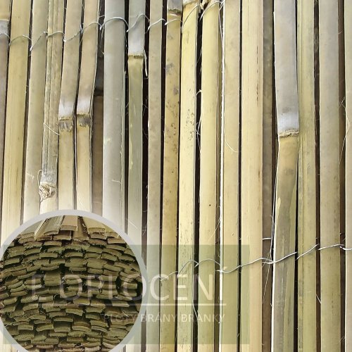 Štípaný bambus BAMBOOPIL výška 150 cm, délka 5 m